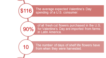 Valentine's Day Supply Chain by the Numbers