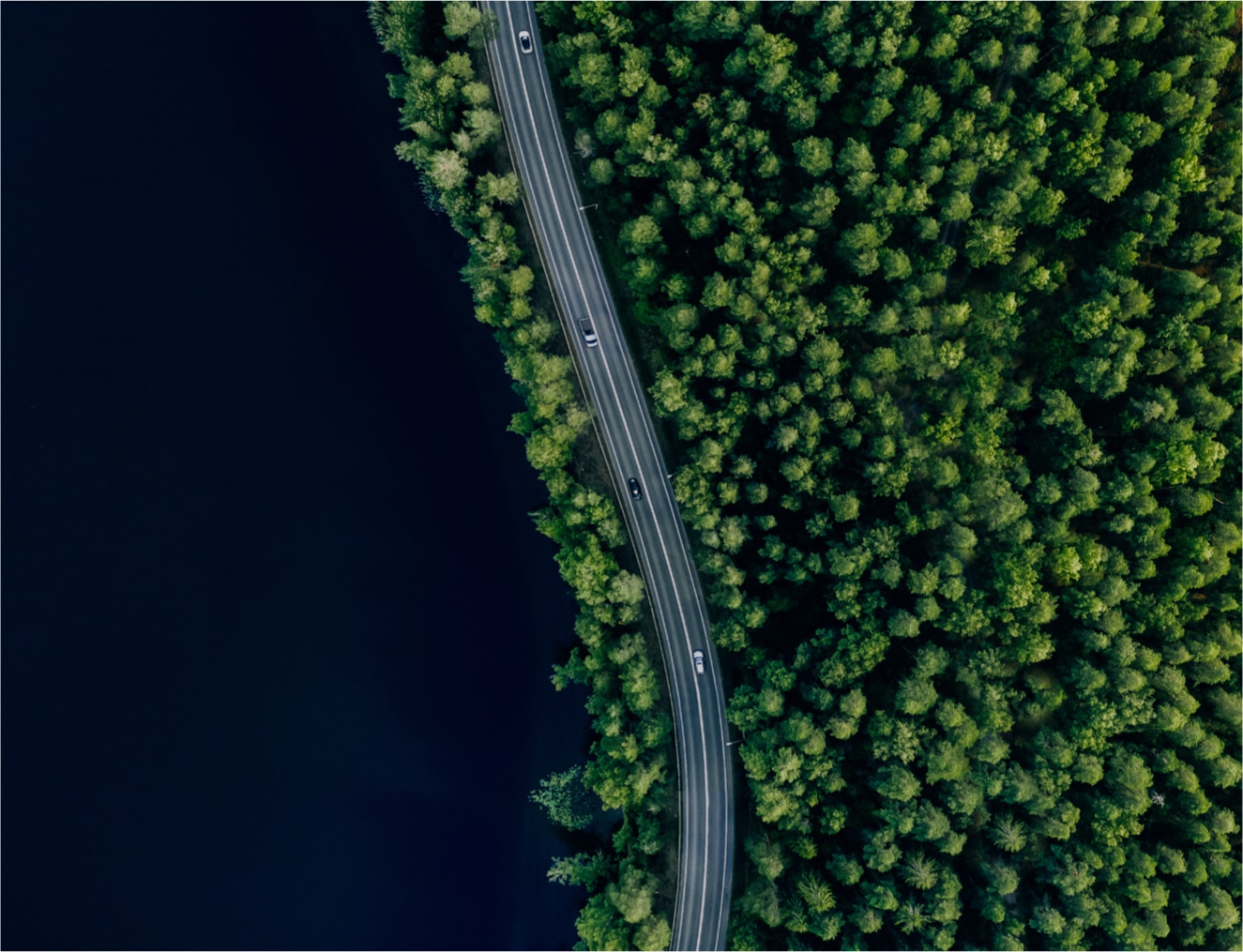 Arial View of Winding Road Through Trees
