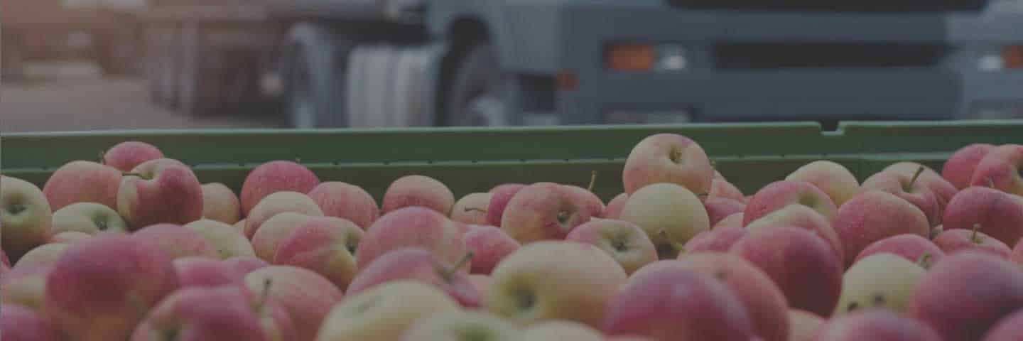 apples in crate