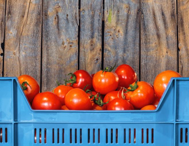 tomatoes in a crate