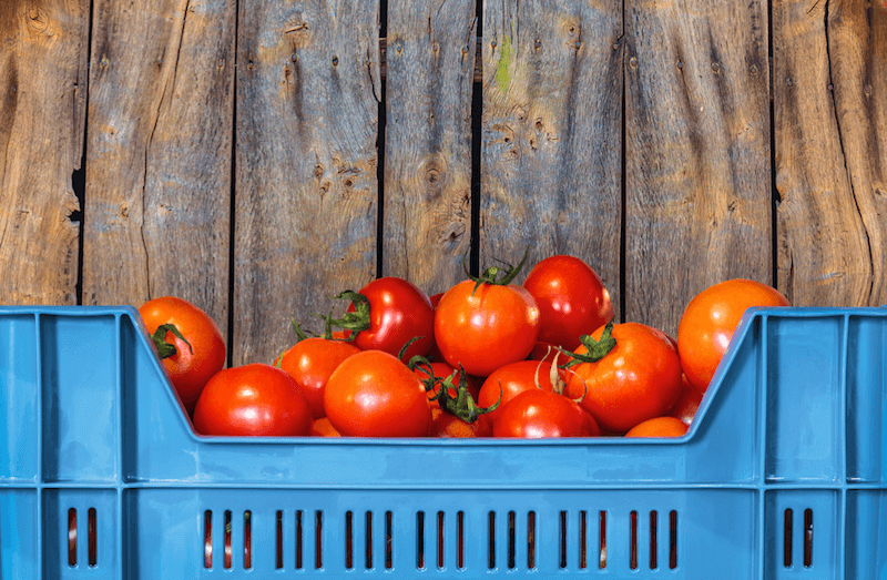 tomatoes in a crate