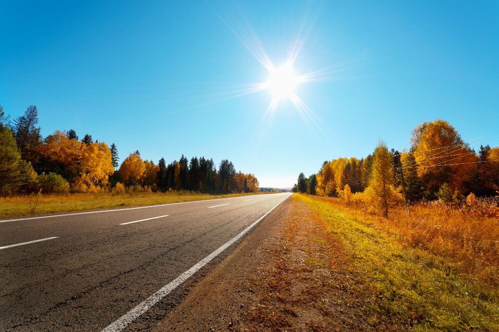 empty roadway in the fall