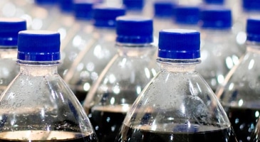 soda bottles lined up