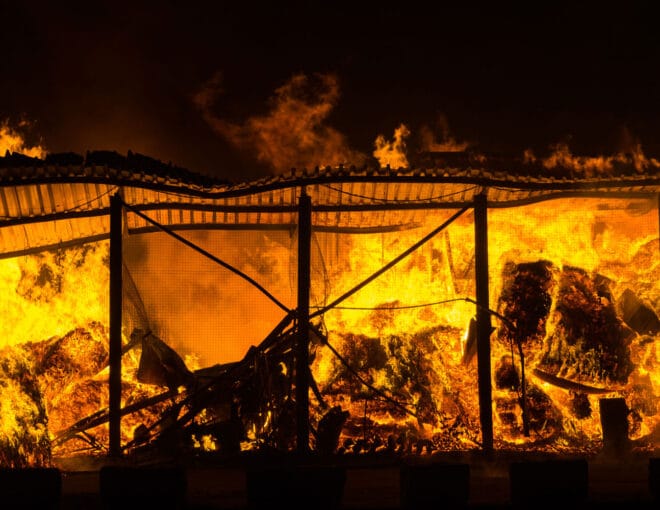 Shelves of Packages in Warehouse Fire